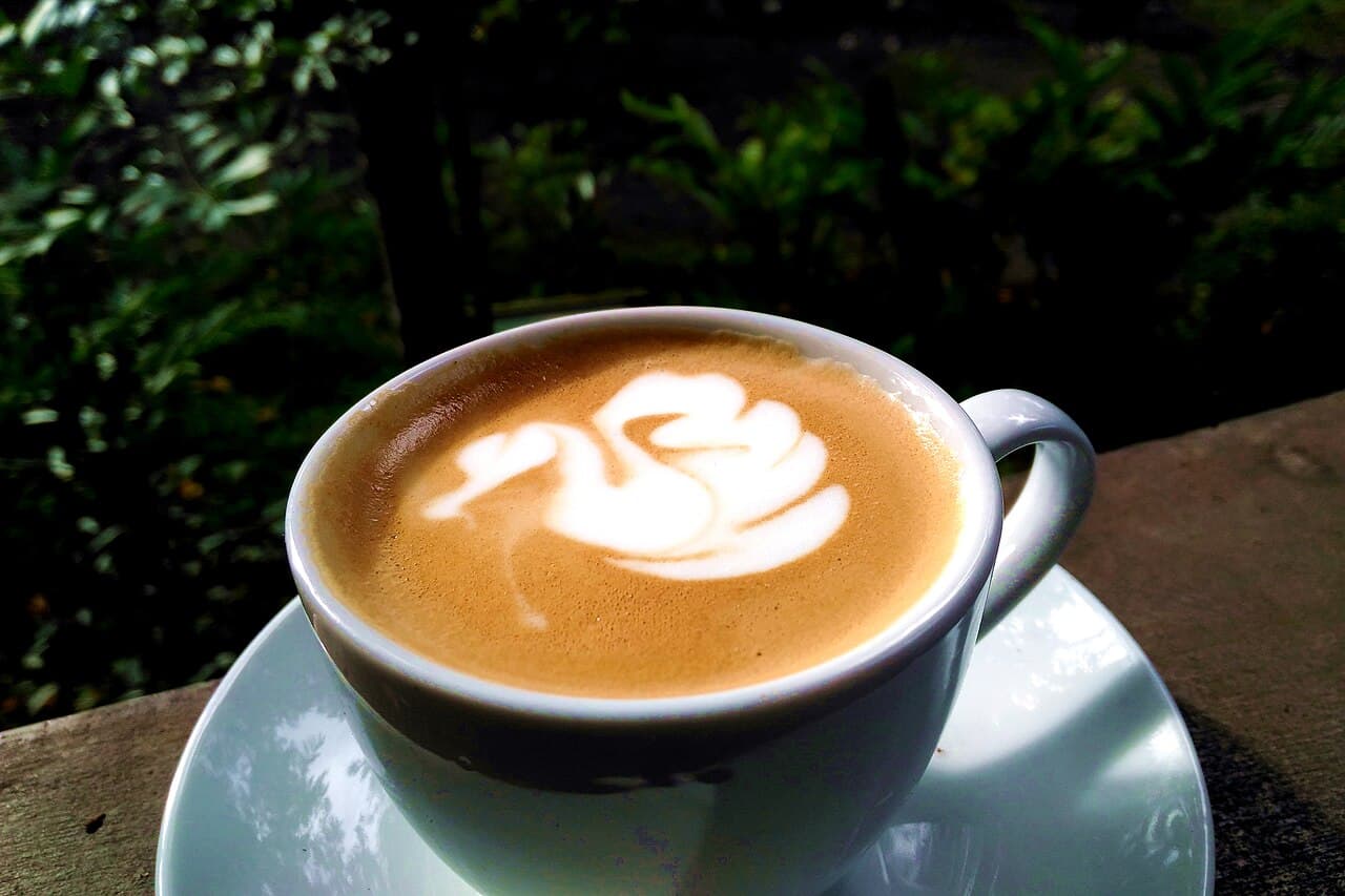 A latte with swan latte art